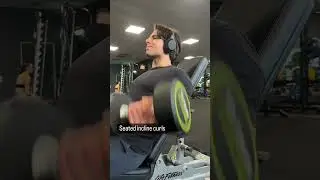 arms workout no equipment l arms workout for beginners #shortvideo #shorts #arms