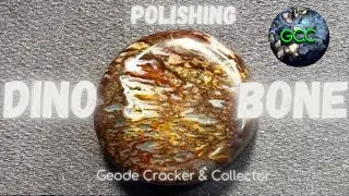 Polishing Dinosaur Bone! | Gemstone Polishing #hitechdiamond #cabking