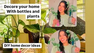 Home decor ideas with Diy bottle & plants🪴 #homedecorideas #planterideas #bottlecraft #plants