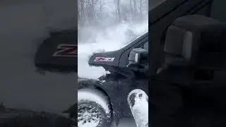 Echo 9010 &ldquo;Snow Blower&rdquo;