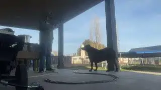  Time lapse ￼of me building massive train track around my porch!!￼