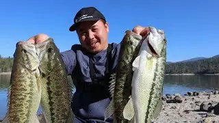 CHEAT CODE to CATCH SPOTTED BASS with PLASTIC WORM!!! at BASS LAKE (MUST WATCH BEFORE USING THEM!!!)