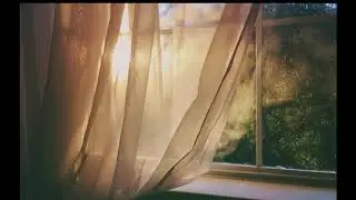 dijon - skin (slowed)