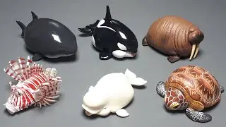 Sealife Set by Animal Heavenly Body blind box PVC figure deformed cute toy whale Marine Ocean Sea