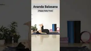 Happy Baby Pose (Ananda Balasana) | Back Pain & Stress Relief🧘&zwj;♂️  #shorts #shortsviral #shortvideo