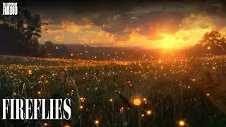 Storytelling Music No Copyright | Vlog Background | Sunset Free Music