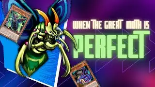 When The Great Moth is Perfect