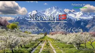 Hardangerfjord: Orchard of Calm | 3 Hours Romantic Piano (20&ndash;30 BPM) for Calm Focus, Nordic Spring