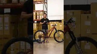 Is This Stumpy the Perfect Quiver Killer? | Off The Line | TPC #specialized   #mtb  #shorts