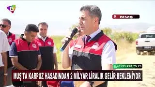 Muş&rsquo;ta karpuz hasadı başladı!