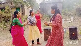 picnic special dance 2023