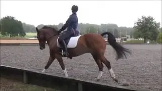 GB Pony Eventing Long List training 2017