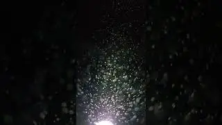SLOW MO OF FOG, SEATTLE, WA. JANUARY  2025