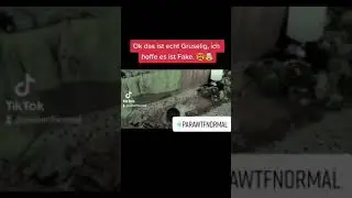 Paranormale Aktivit&auml;ten /Paranormal Activity /#monster #paranormal #&uuml;bernat&uuml;rliches #unheimlich
