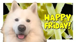 Happy Friday eCard From Fluffy Wuffy Dogs