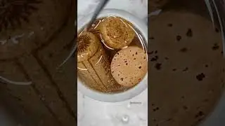 Person makes an ornamental bottle using resin and wine corks!