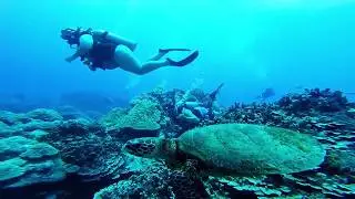 Pacific Divers on a regular day out