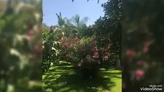 للاثرياء قصر فخم 19 فدان بجمعية احمد عرابى بسعر مغرى 01127888151