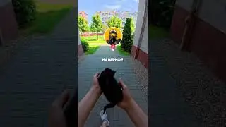 Больше котёнка в ТГ-pawNEpaw