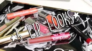 5 FAVORITE LIP LOOKS | COLLAB WITH MISOJENNY!