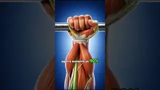 Que pasar&iacute;a si colgar&aacute; tu cuerpo de una barra | Animaci&oacute;n 3D