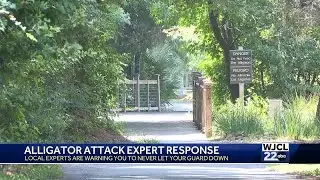 Alligator kills woman in Hilton Head; ways attacks can be prevented