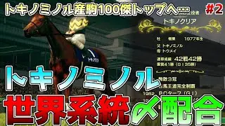 【ウイニングポスト10 2025】トキノミノル世界系統プレイ Part2 トキノミノル産駒で世界100傑トップ！(1977-1984)【ウイポ10】
