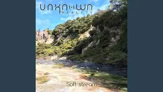 Soft Stream