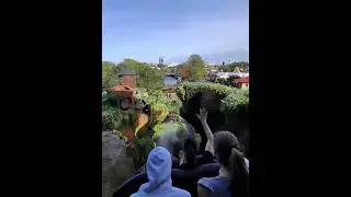 Splash Mountain (Tianas Bayou Adventure) #disney #splashmountain #tianasbayouadventure