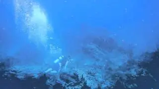 Snorkeling the USVI waters with Wrecklife