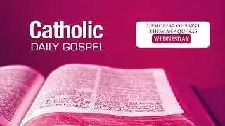 Daily Bible Reading Memorial of Saint Thomas Aquinas 28-01-2026 | Hindi | Mark 4:1-20