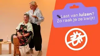 Hoe kun je het best luizen behandelen? (Stappenplan)