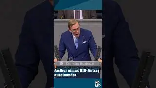 Amthor nimmt AfD-Antrag auseinander