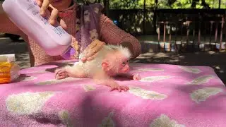 Mum Apply Baby Cool Powder To Protect Diaper Rash