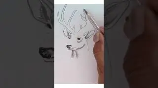 Reindeer drawing for christmas//#shorts//#sketch//