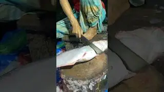 Giant panggas fish cutting skills #shorts #fishcutting