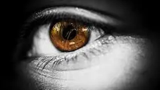 The Observer and the Observed are One