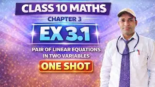 Class 10 Maths Ex 3.1 | Chapter 3 Pair of linear equations in two variables |Board Exam | CBSE| 