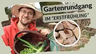Erste Blüten, Hummeln und eine 