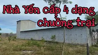 Nhà Yến cấp 4 dạng chuồng trại chi phí thấp Lh 0963282767