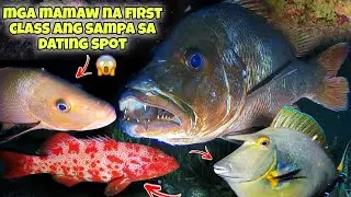 eps.354 MGA MAMAW NA FIRST CLASS ANG SAMPA SA DATING SPOT😱 #fishing #fish #gopro #kapanatv
