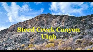 Steeds Creek  Hike in the Wasatch Mountains, Utah