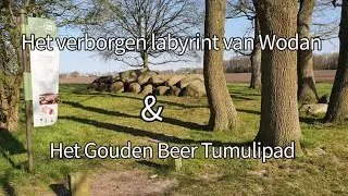 Het Gouden Beer Tumulipad in Drenthe