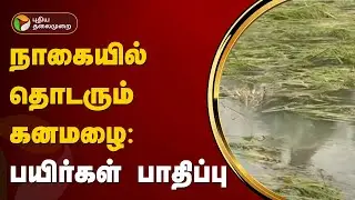 நாகையில் தொடரும் கனமழை: பயிர்கள் பாதிப்பு | TN Rains | Nagapattinam | Rain update with PT