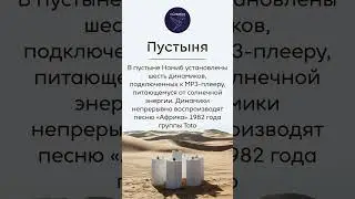 Интересные Факты #96 Shorts #shorts #video