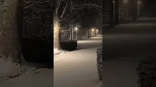Snowfall at Night in Switzerland ❄️🌙*   #youtubeshorts #europeancapital #vairal #srilankantamilvlog