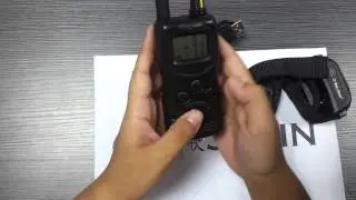 электронный ошейник 900B