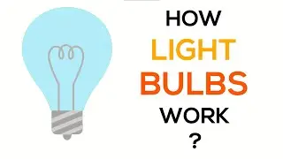How Light Bulbs Work?