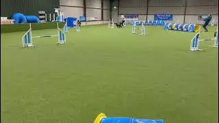 Will & Brave - Agility Base - Run Continental! Jan 26 Jumping Clear  1st overall (willbacchus.com)