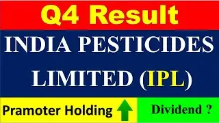 India Pesticides Limited Q4 Result | India Pesticides Share Latest News | Asset Commando